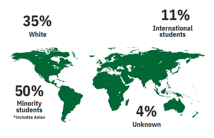 student diversity percentages