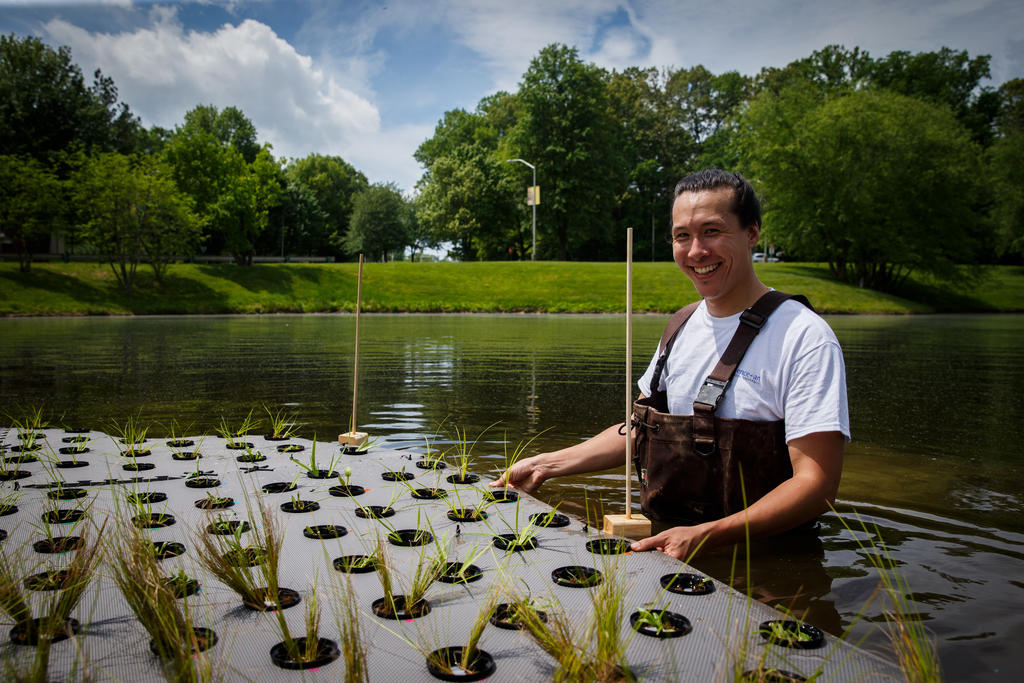 Floating Wetlands on Mason Pond