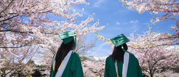 Students wearing green caps and gowns walk by cherry blossom trees at Mason Pond.
